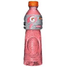 Gatorade Fresa 600ml